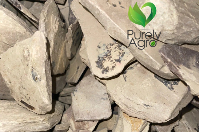 Ulo Clay: The Natural Wonder for Soil Health - Purelyagro