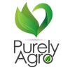 Purely Agro | Fresh Produce Moringa Oleifera