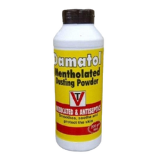 Load image into Gallery viewer, Damatol Mentholated  Dusting Powder 200g
