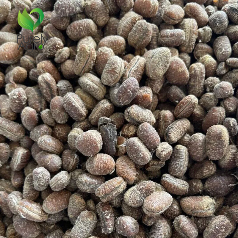 Purelyagro Organic Ehuru Seed/ African Nutmeg/ Whole Efuru Calabash Pepper soup - Peeled Seed