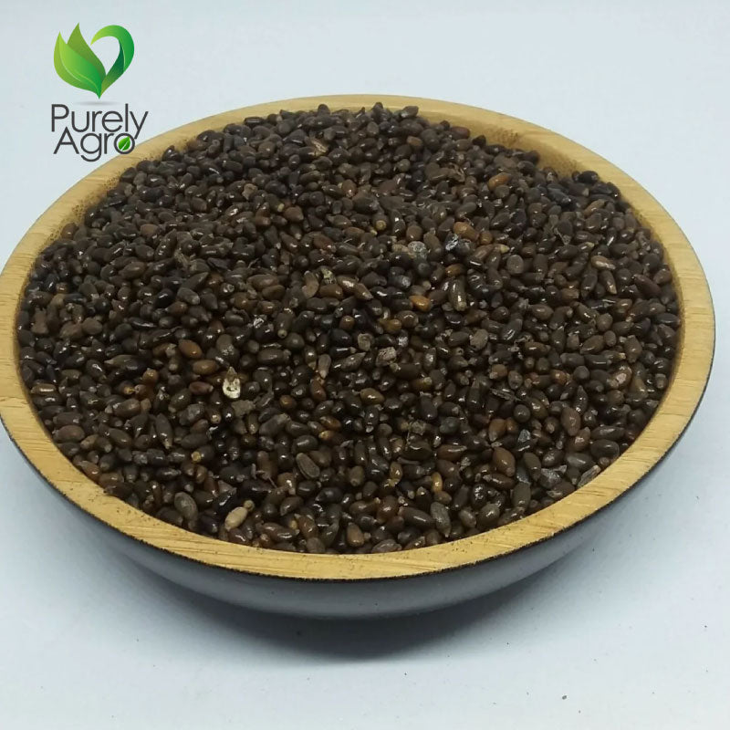 Purelyagro Orima Seeds - Orioma Banga Spice Ataiko Seed