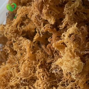 Purelyagro Pure Irish Sea Moss Raw Wild Crafted