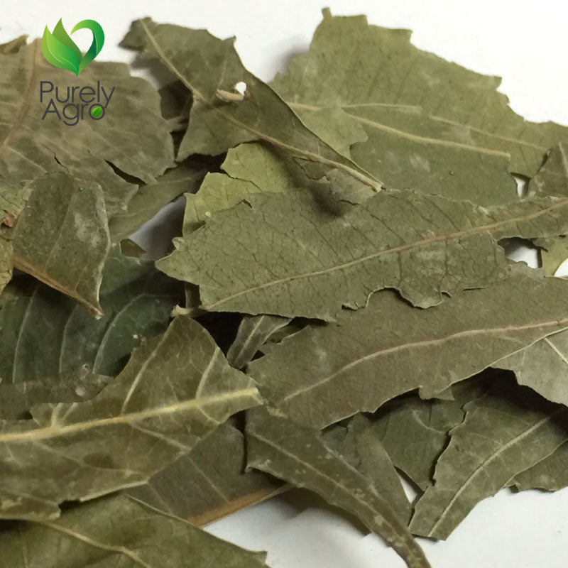 Purelyagro Neem Leaf | Leaves | Limda Leaves Dried Premium Quality Neem Leaf