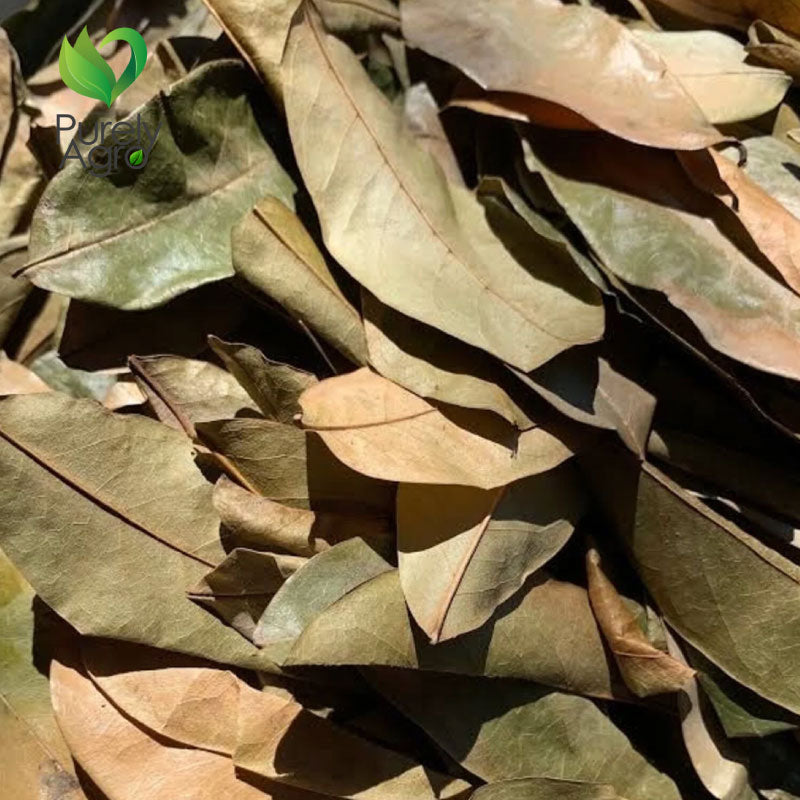 Purelyagro Soursop Leaves Graviola Dried Guanabana Organic Jamaican Wild AAA Grade