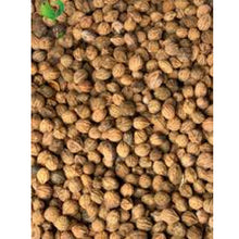 Load image into Gallery viewer, Purelyagro Umilo/ Omilo Seed Cocoplum, Paradise Plum Pepper Soup pepper Soup Spice
