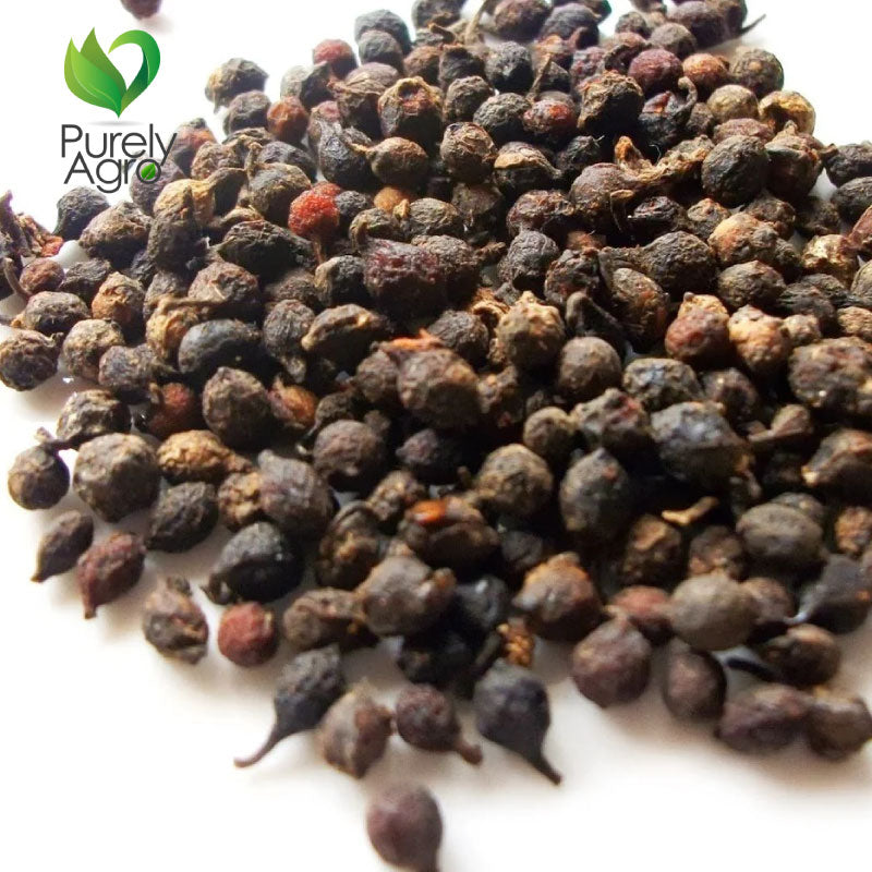 Purelyagro Uziza Seed Piper guineense, Féfé ,Quality & Original spice for Peppersoup