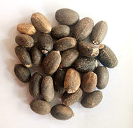 Purelyagro Jatropha Curcas (Physic Nut) Perennial Herb Plant Online