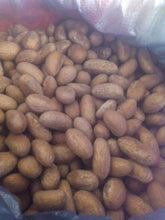 Load image into Gallery viewer, Purelyagro Bitter Kola Nuts - Garcinia Kola Orogbo Nut (Fresh &amp; Handpicked)
